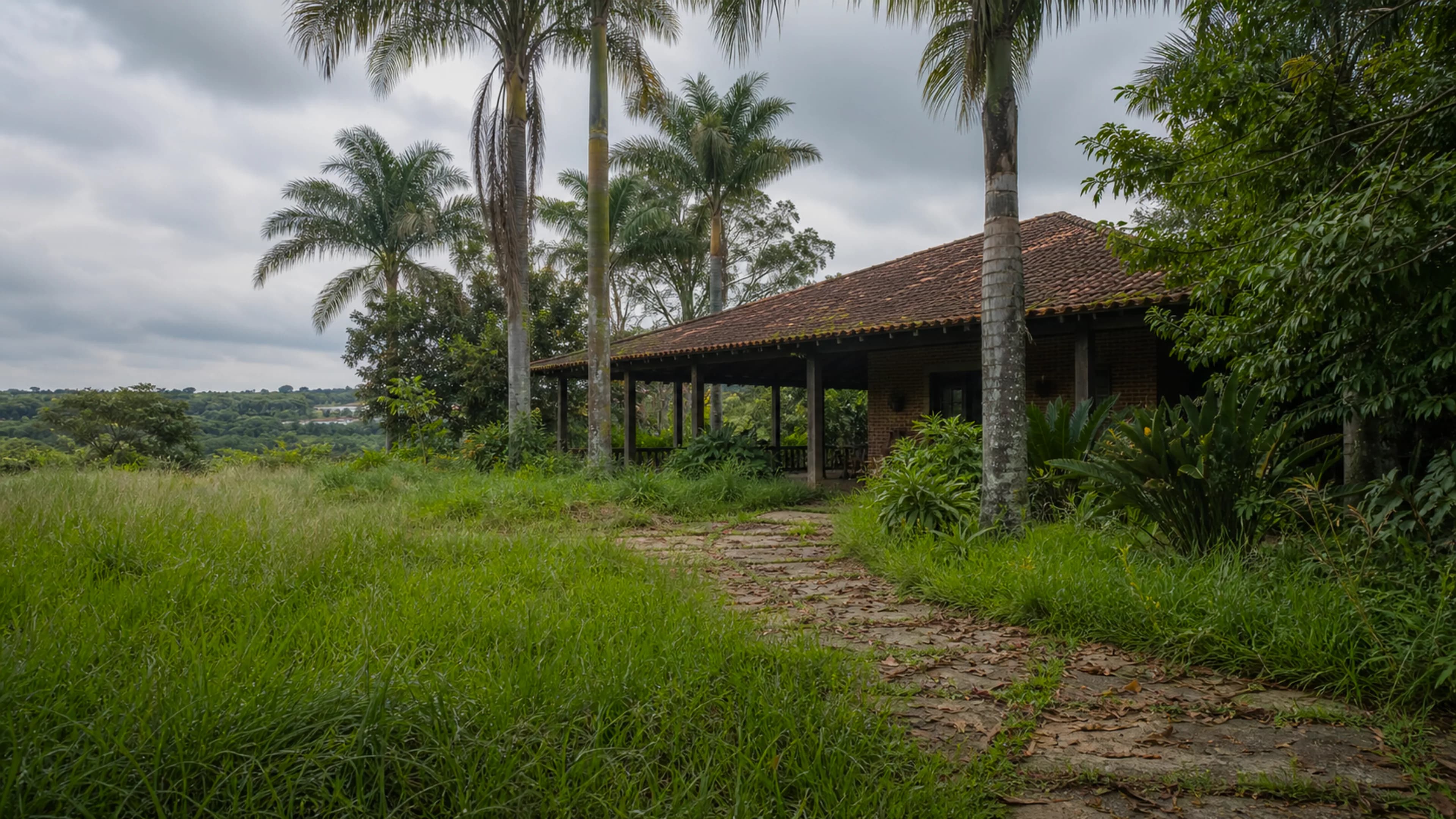 Chácara com grama alta e jardim precisando de manutenção preventiva