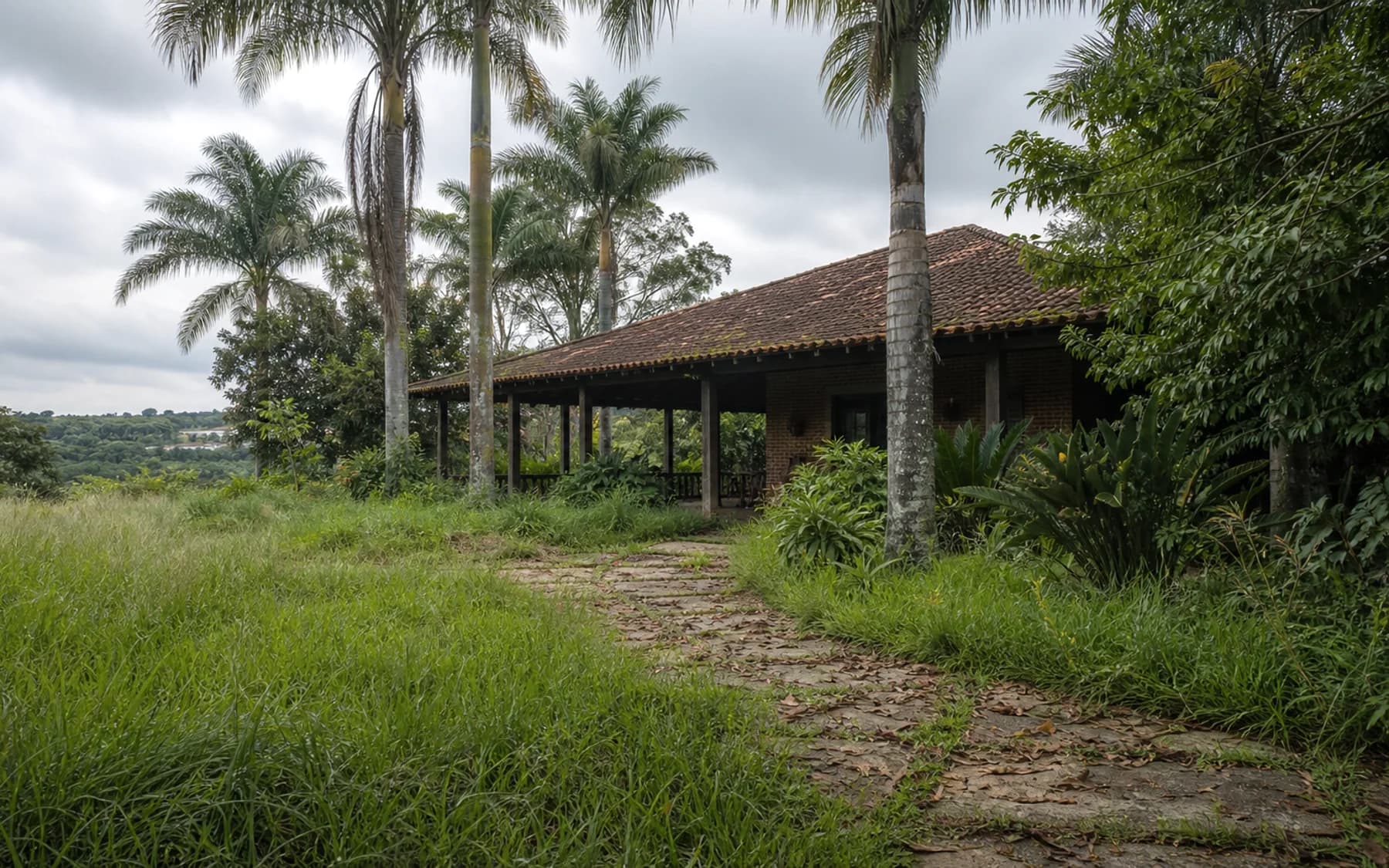 Chácara com grama alta e jardim precisando de manutenção preventiva