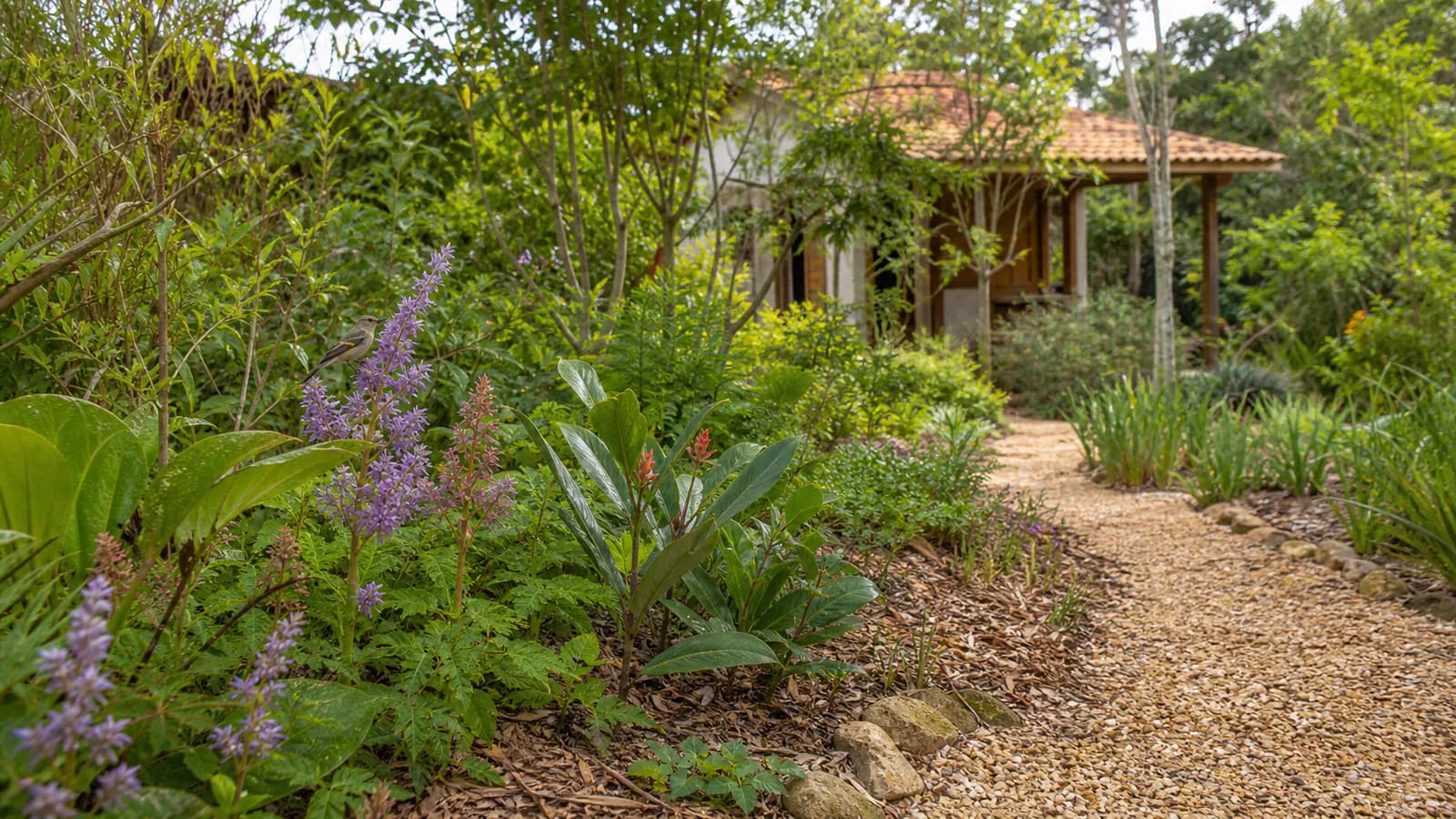 Jardim biodiverso com solo coberto, flores e ave visitante, em imagem editorial conceitual