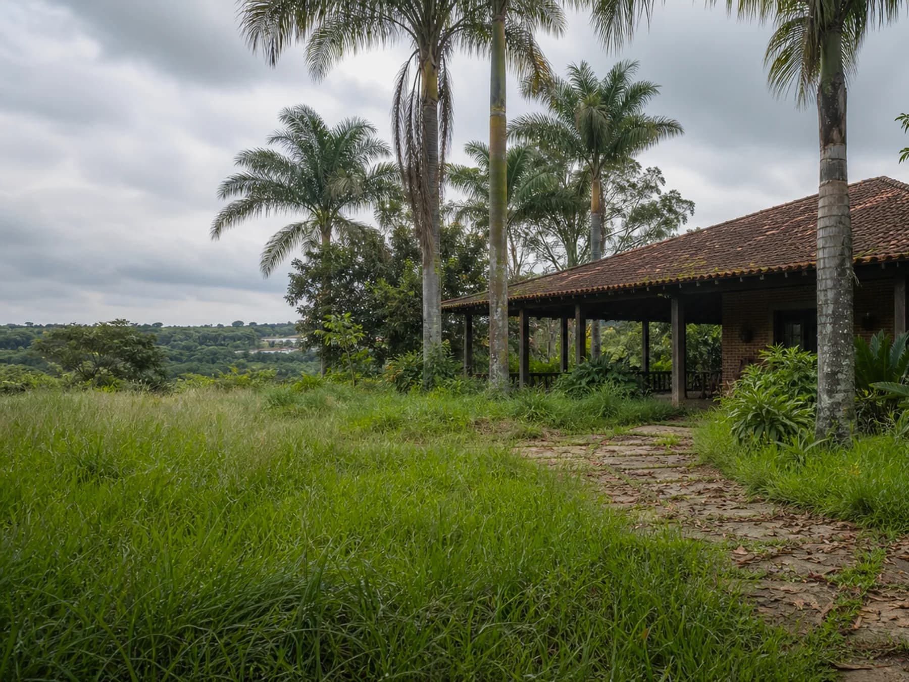 Área gourmet de chácara com jardim precisando de cuidado antes da manutenção