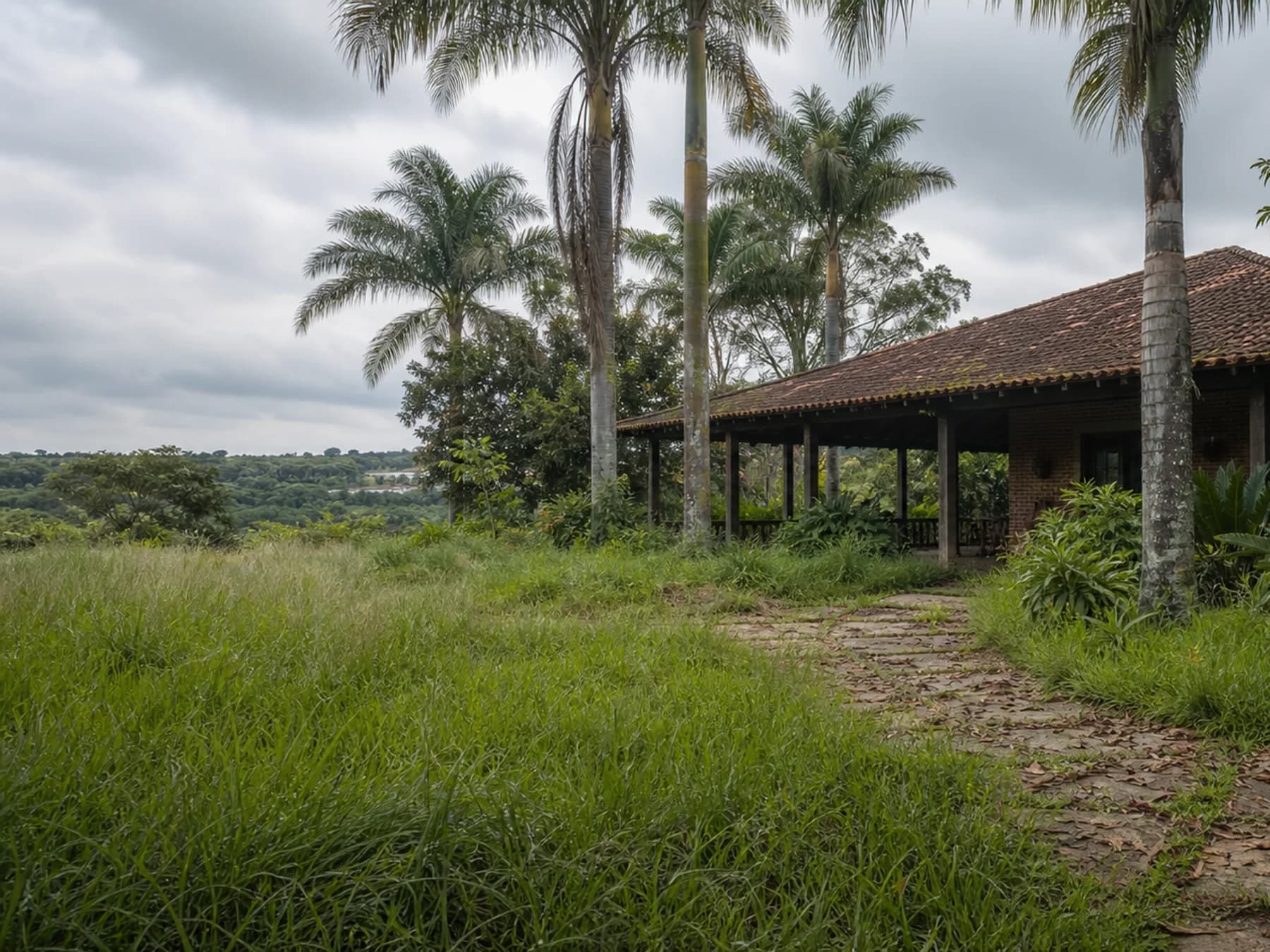 Lounge externo de chácara com jardim precisando de limpeza
