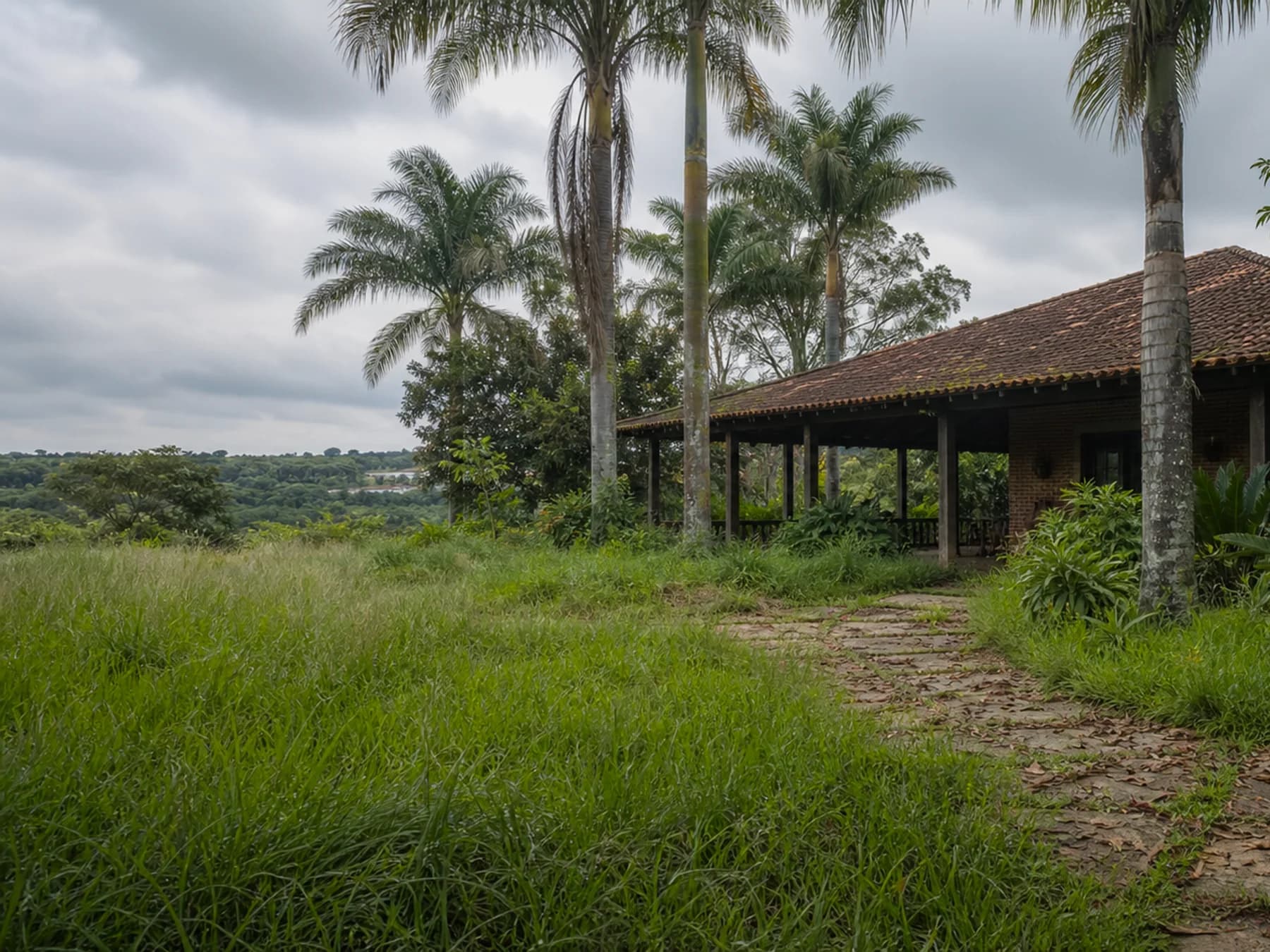 Espaço de descanso de chácara com jardim sem manutenção